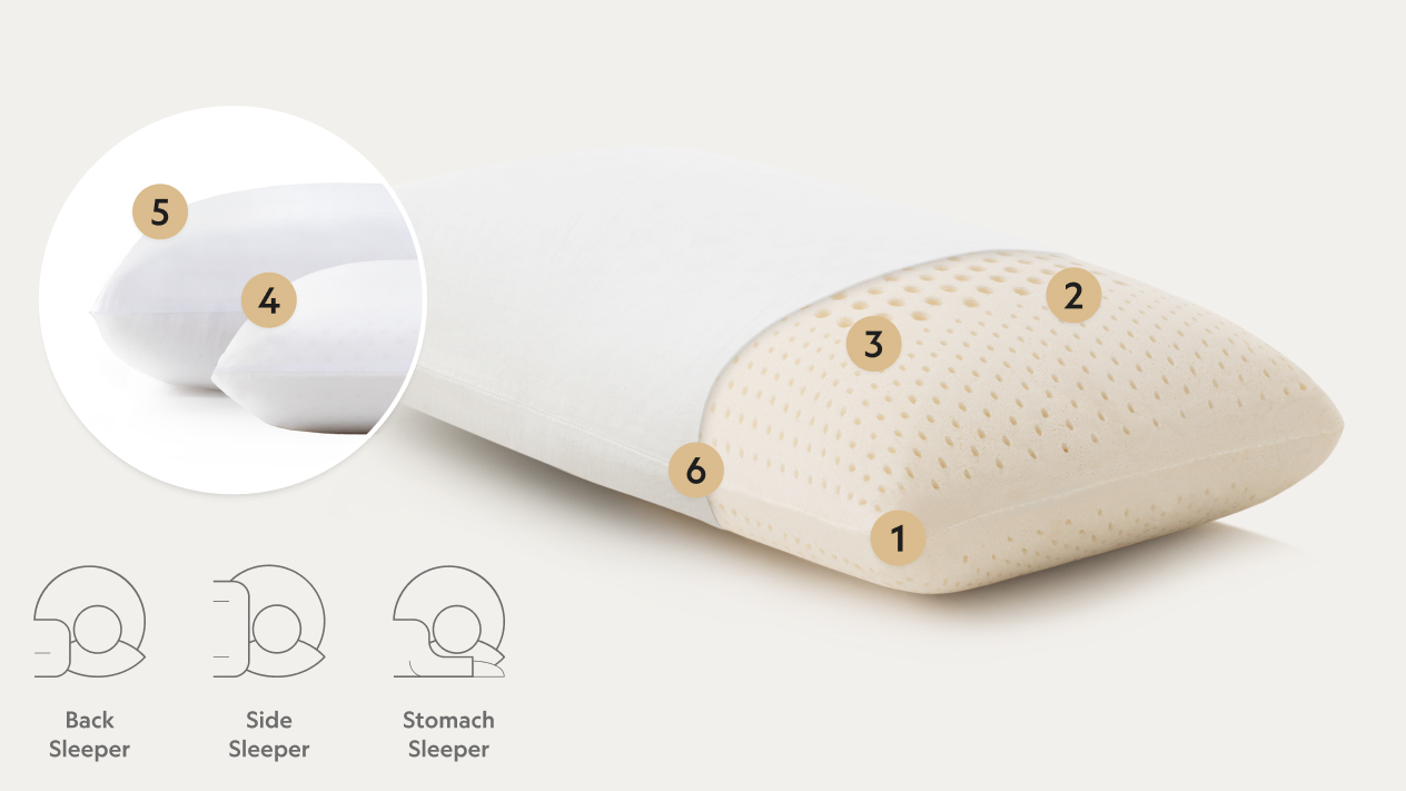 Points on Talalay Latex Pillow