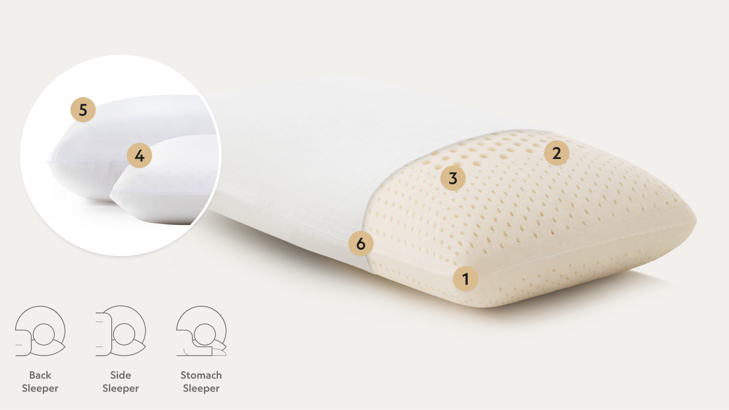 Points on Talalay Latex Pillow